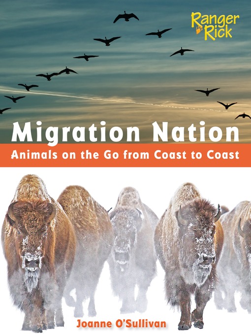 Cover image for Migration Nation